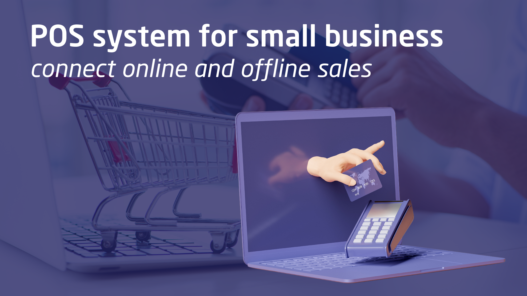 POS system for online and offline business