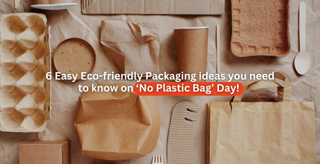 6 Easy Eco-friendly Packaging ideas you need to Know on ‘No Plastic Bag’ Day!